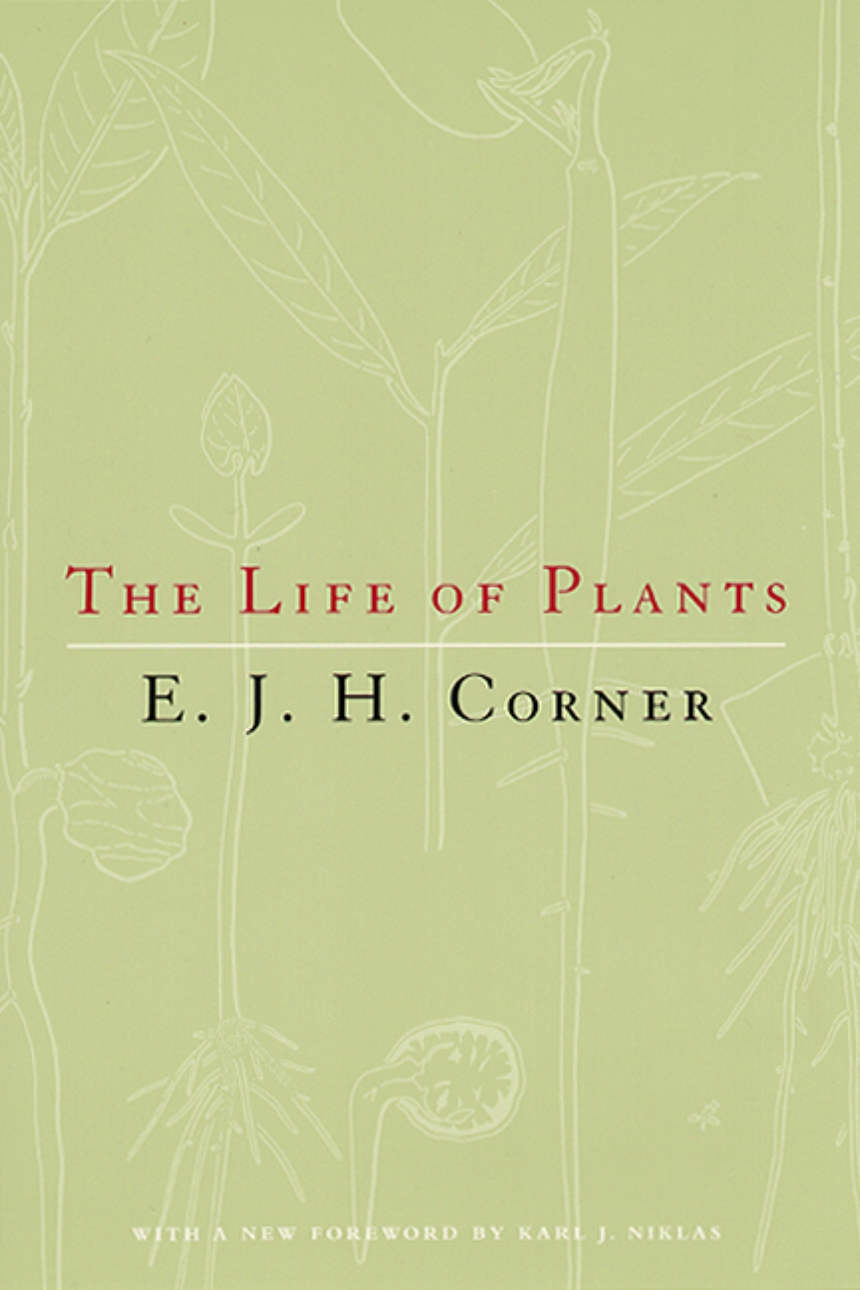 The Life of Plants