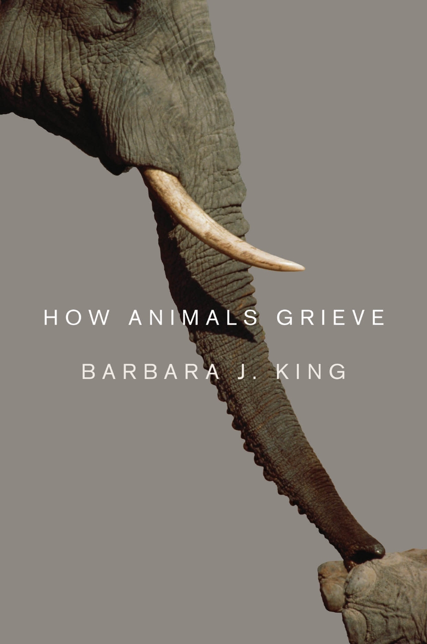 How Animals Grieve