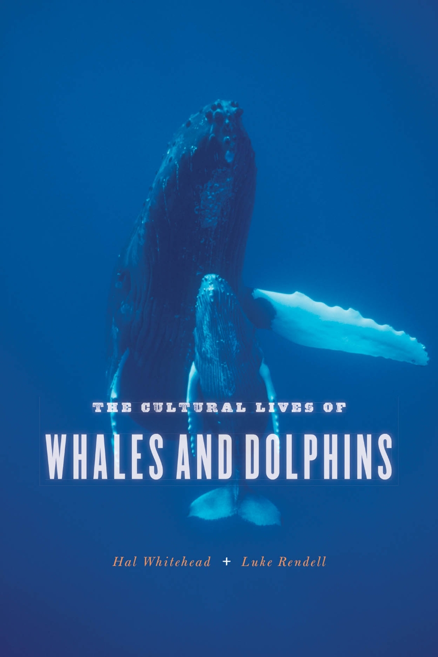 The Cultural Lives of Whales and Dolphins