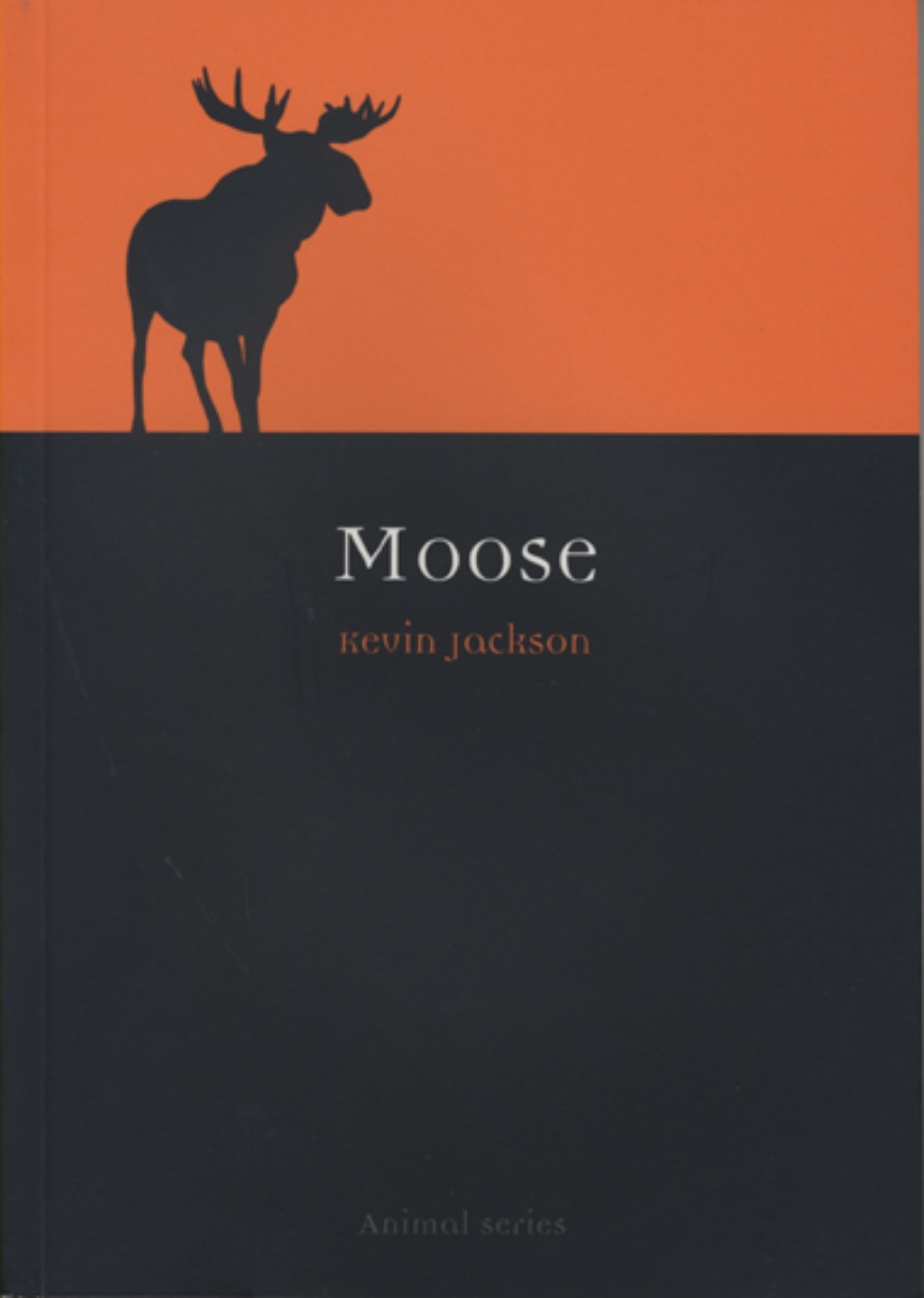 Moose