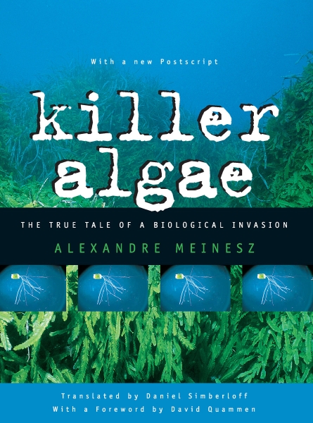 Killer Algae